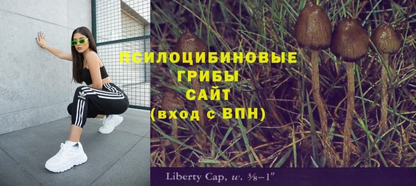 соль ск Кинешма