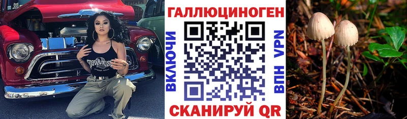 Псилоцибиновые грибы Psilocybe  Купить закладки  Байкальск 